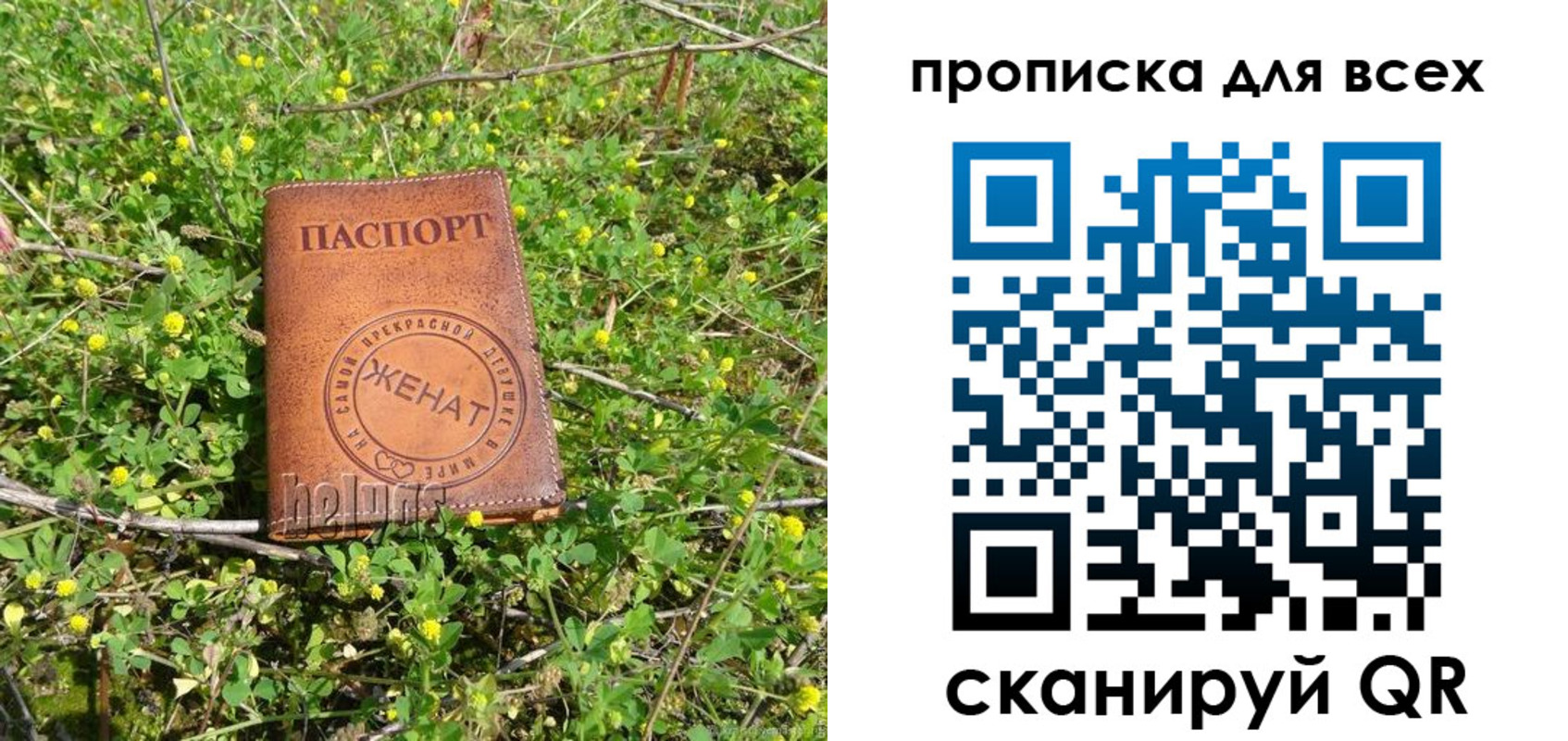 прописка поиск в Орловской области